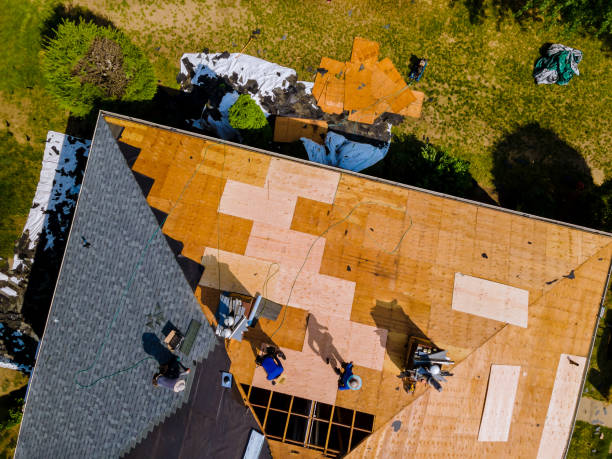 Roof Gutter Cleaning in El Sobrante, CA